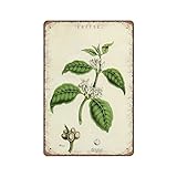 DAIERCY Klassische Auto-Einladung Blechschilder, lustiges Vintage-Metallschild, Plaque, Wandkunst, Pub, Bar, Küche, Garten, Badezimmer, Heimdekoration, 30,5 x 40,6