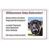 Mein-Wuff Fotoschild Hund personalisierbar (Mittel 33cmx22cm) Schild Einbrecher Geschenkidee für Hundebesitzer/Türschild/H