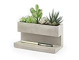 Kikkerland PL02-L Pflanzentopf aus Beton für am Schreibtisch, Go Green im Büro, hält Stifte und Visitenkarten, größe 16,3x9,1x8