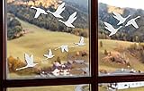 Anti-Kollisions-Fenster-Vogel-Aufkleber, transparente Aufkleber, Glastürschutz, Save Birds, 12 Stk