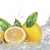 Rodnik Küchenrückwand-Spritzschutz-Wanddeko-Balkonsichtschutz | Hochwertig, robust, Kratz-und wasserfest | Verschiedene Motive (Frische Zitronen)
