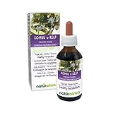 Süßer Kelp oder Kombu (Laminaria saccharina oder Laminaria digitata) Thallus (Alge) Alkoholfreier Urtinktur Naturalma | Flüssig-Extrakt Tropfen 100 ml | Nahrungsergänzungsmittel | Veg