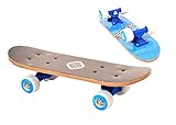 D'arpeje Outdoor OFUN247B Funbee kleine hölzern Skateboard, Rot, 17 Z