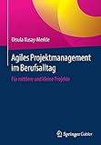 Agiles Projektmanagement im Berufsalltag: Für mittlere und kleine Projek