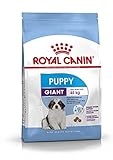 Royal Canin Giant Puppy 34 Welpenfutter, 15 kg - H