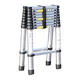 LYLFF Zusammenklappbare Teleskopierleiter, Aluminium-Ingenieurweiterleiter, Maximale Tragfähigkeit Bis 330 Pfund, Doppelseitige Faltleiter (Color : Silver, Size : 420cm/13.8ft)