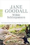 Wilde Schimpansen: Verhaltensforschung am Gombe-S