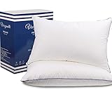Vesgantti Luxus Kopfkissen 45X70cm 2er Set Waschbares Bettkissen Mirkofarsen 3400gsm ergonomisches Schlafkissen Opitimale Unterstützung HWS Kissen Antiallergisch Innennkissen für Alle Schlafp