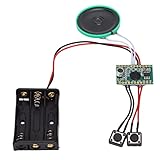 DIY Music Sound Talk Recordable Chip, 4 Minuten Soundmodul, Music Sound Chip, für DIY Music Box, Musikalische Grußkarten, B