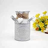 TinaDeer Retro Künstliche Blumen Vase Getrocknete Blumen Blumentopf Deko Landhaus Vase Rustikal Blumeneimer Metall Übertopf Kaktus für Balkon Wohnzimmer Tischdeko Muttertagsgeschenk Ornamente (Grau)