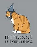 Lustige Katze Aluhut Ironie Satire Verschwörung Mindset Meinung Spruch: ANTI STRESS MALBUCH - Mandalas - Lustige Redewendung Weißheiten Geschenk - A4 ... Vorlagen - Antistress - Entsp