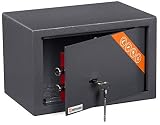 Brihard Home Tresor Safe mit Doppelbartschloss - 20x31x20cm Sicherheits-Safe 11 L - Titangraue Kratzfeste Oberfläche - Hochleistungsfähiger Möb