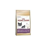 Royal Canin British Shorthair Katzen 10 kg