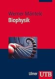 Biophysik
