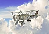 ITALERI 2819S - 1:48 Henschel Hs 123 , Modellbau, Bausatz, Standmodellbau, Basteln, Hobby, Kleben, Plastikbausatz, detailg