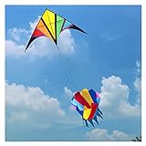 Drachen Freies Verschiffen Große Kites Windsocke Regenbogen Kites Tails Outdoor Spielzeug Fliegen Wetter Vane 3D Kite Butterfly Kite Fabrik Kinderspielzeug (Color : 5pcs Windsocks)