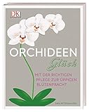 Orchideen-Glück: Mit der richtigen Pflege zur üppigen Blütenp