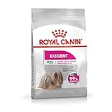 Royal Canin Mini Demalent 1kg