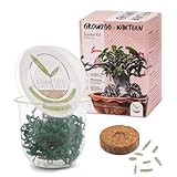 GROW2GO Kakteen Starter Kit Anzuchtset - Pflanzset aus Mini-Gewächshaus, Kaktus Samen & Erde - nachhaltige Geschenkidee für Pflanzenfreunde (Wüstenrose)