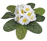 mucplants Primelbusch 20cm weiß Stecker künstliche Primeln Primeln Primula Schlüsselblumen Kunstpflanzen Kunstb