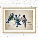 Vintage Leinwand Gemälde Wandkunst Vögel Retro Poster und Drucke Leinwand Kunstwerk für Schlafzimmer Wohnkultur 60x80cm R