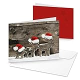 10 Stück Weihnachtskarten 3 RENTIERE natürliche Foto-Karten MIT KUVERT rot weiß braun natur Foto-Motiv Weihnachten klassische Klappkarte Doppel-Karte Santa W