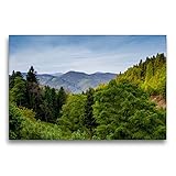 CALVENDO Premium Textil-Leinwand 75 x 50 cm Quer-Format Schwarzwald-Panorama, Leinwanddruck von PuraV