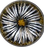 Food-United Sardellen-Filets ohne Gräten Anchovis Boquerones Anchois Alici marinate 700g handsortiert mariniert in Öl Premium Qualität ohne Konservierungsstoffe gesunde Omega-3-F
