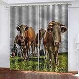 YTSDBB Blickdicht Gardinen für Schlafzimmer Grünlandtier Kuh B 140 x H 160 cm 3D Digitaldruck Druckmuster Öse Thermisch isoliert 90% für Schlafzimmer Wohnzimmer ​Kinderzimmer Junge mit M