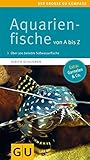 Aquarienfische von A bis Z: Über 300 beliebte Süßwasserfische. Mit schönen Kleinstfischen fürs Nano. (GU Der große Kompass)