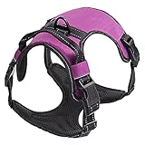 Budvibe Hundegeschirr MittelGroße Hunde,No-Pull,Reflektierend,Anti-Zug Geschirr,Gepolstert und Atmungsaktiv（Lila S）