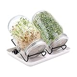 Gbivbe Sprossen Keimgerät 2er Set Sprossenglas mit Deckel & Sieb aus Edelstahl für Sprossen | Keimglas; 1000ml Kapazität, 2 schwarzen Ständen, 1 Weiß Drip Tray | Geeignet in der Kü