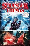 Stranger Things: Bd. 1: Die andere S