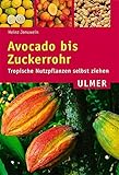 Avocado bis Zuckerrohr: Tropische Nutzpflanzen selbst ziehen (Ulmer Taschenbücher)