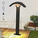 LED Wegeleuchten mit Bewegungsmelder 12W, LED Gartenleuchte Außen, Stehlampe Draußen 3000K IP65 Pollerleuchte 60cm,Außenlampe Gartenlamp