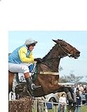 The Channel Four Afternoon Racing Bank Raid System (English Edition)