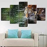 JUNZU 5 Teilig Leinwand Wanddeko Hd Bilder Leinwanddrucke - Framed Tiger Drinking In Lake 4K Poster - 5 Stück Leinwand Bilder Gemälde Modern Wohnzimmer Wohnkultur Geschenk 100 * 55Cm R