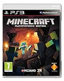 Minecraft (Sony PS3)