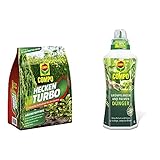 Compo Heckenturbo, Nährstoffmix, Spezialdünger für Hecken und Neuanpflanzungen, 4 kg & Grünpflanzen- und Palmendünger, Spezial-Flüssigdünger mit extra Kalium und Eisen, 1 L
