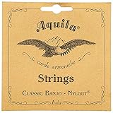 Aquila Medium 5B New Nylgut Banjo 5-String Set (DBGDG-Tuning)