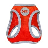 DDOXX Brustgeschirr Air Mesh, Step-In, reflektierend | viele Farben | für kleine, mittlere & mittelgroße Hunde | Hunde-Geschirr Hund Katze Welpe | Katzen-Geschirr Welpen-Geschirr | Orange, M