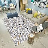 Kunsen mobel fur Wohnzimmer Tisch Wohnzimmer Wohnzimmerteppich moderner Stil grau niedriger Samt, schmutzabweisend und rutschfest Teppich Wohnzimmer Ornament 40X60CM 1ft 3.7' X1ft 11.6'
