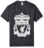 Fifth Sun Herren Official Liverpool FC Mono Color Logo Men's Tee T-Shirt, Grau//as Heather, XX-Larg