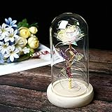 TYXSHIYE 2m/6.6ft 20 LED Lichterkette Warmweiß Künstliche Rose im Glas, Bunt Rose mit Glas Lampenschirm, AAA Batteriebetrieben Glaskuppel Rose für Hochzeitstag Muttertag Valentinstag W