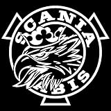 TLZDGX Lustige Aufkleber wasserdichte Sonnencreme Decals für Scania Vabis für Auto Auto/Auto/Fenster Vinyl Aufkleber DIY Decor,23cm * 21cm (Farbname : White)