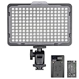 Neewer Dimmbare 176 LED Videolicht 5600K auf Kamera Lichtfeld mit 2200mAh Akku und USB Ladegerät für Canon Nikon Pentax Panasonic Sony usw. Digitale Spiegelreflexkamera Fotog