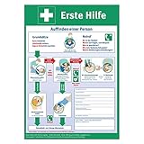 Erste Hilfe Plakat/Aushang - DIN A3 - neuster Stand 2021 - gefalzt - gemäß DGUV