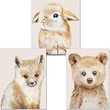 artpin® Bilder Kinderzimmer Deko - Poster Baby Zimmer Wandbilder Waldtiere Bear Hase Fuchs P58