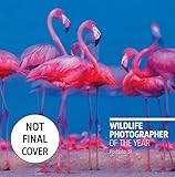 Wildlife Photographer of the Year Portfolio: Portfolio 31 (Wildlife Photographer of the Year, 31)