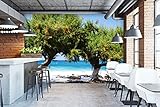 Selbstklebende Designer Fototapete / Premium Vlies-Tapete - Bild Motiv: Kreta Zweisamkeit am Strand - Griechenland Reisen Urlaub Landschaft Natur Meer Bäume Wandbild (480 x 300 cm BxH)
